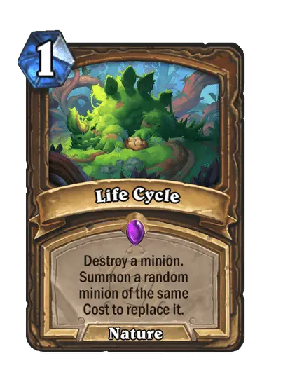 Life Cycle