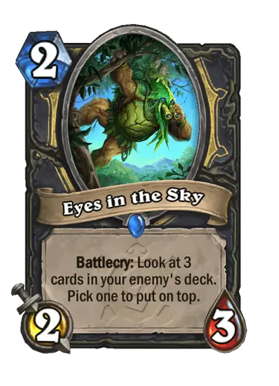 Eyes in the Sky