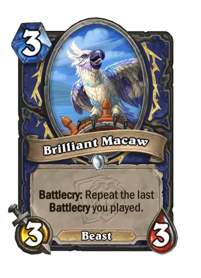 Brilliant Macaw