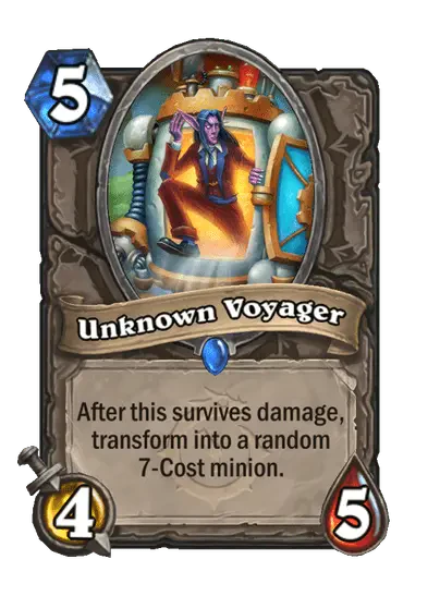 Unknown Voyager