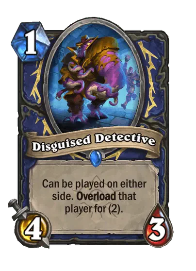 Disguised Detective