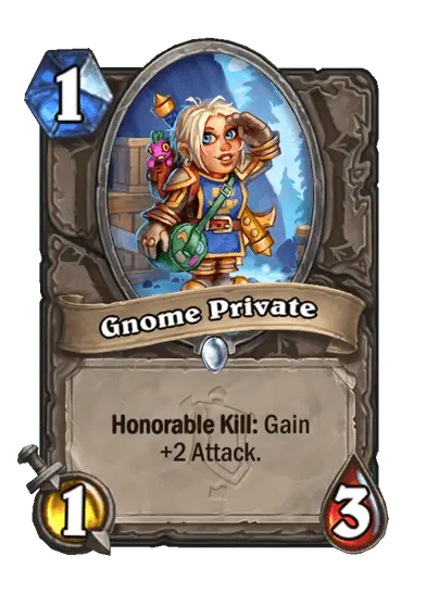 Gnome Private