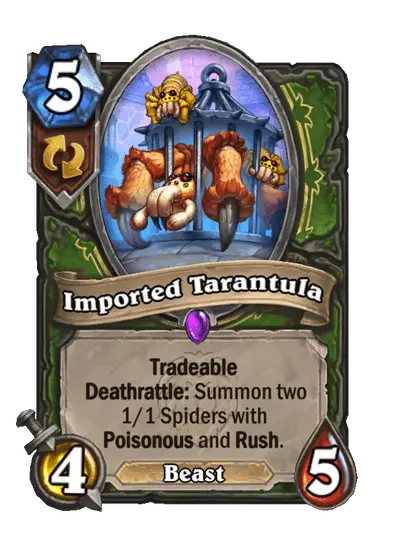 Imported Tarantula