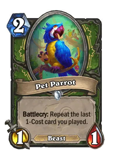 Pet Parrot