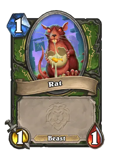 Rat