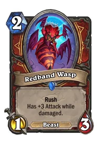 Redband Wasp