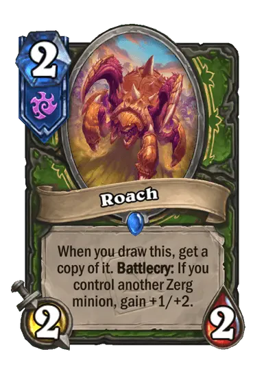 Roach