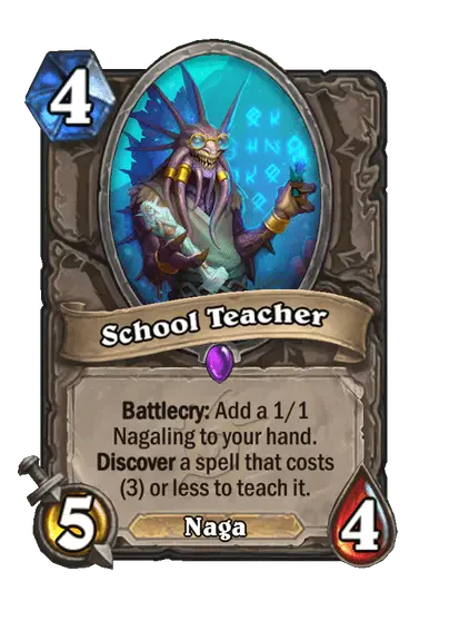 School Teacher