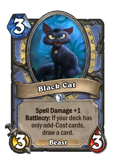 Black Cat