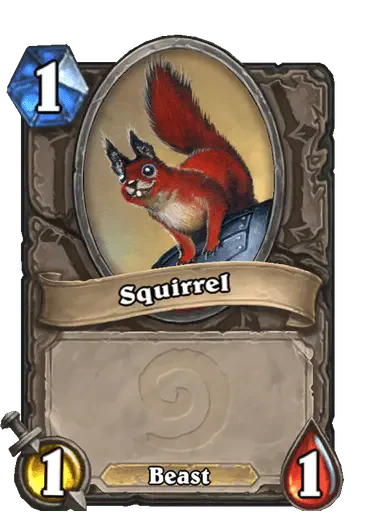 Squirrel