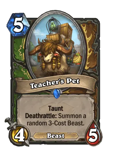 Teacher's Pet