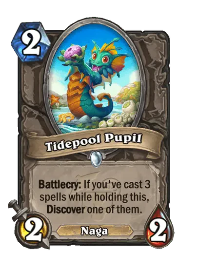 Tidepool Pupil