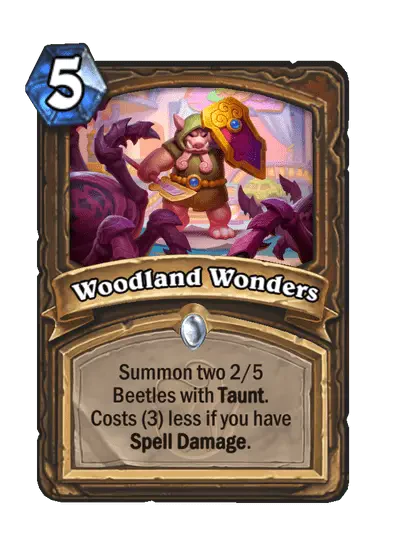 Woodland Wonders